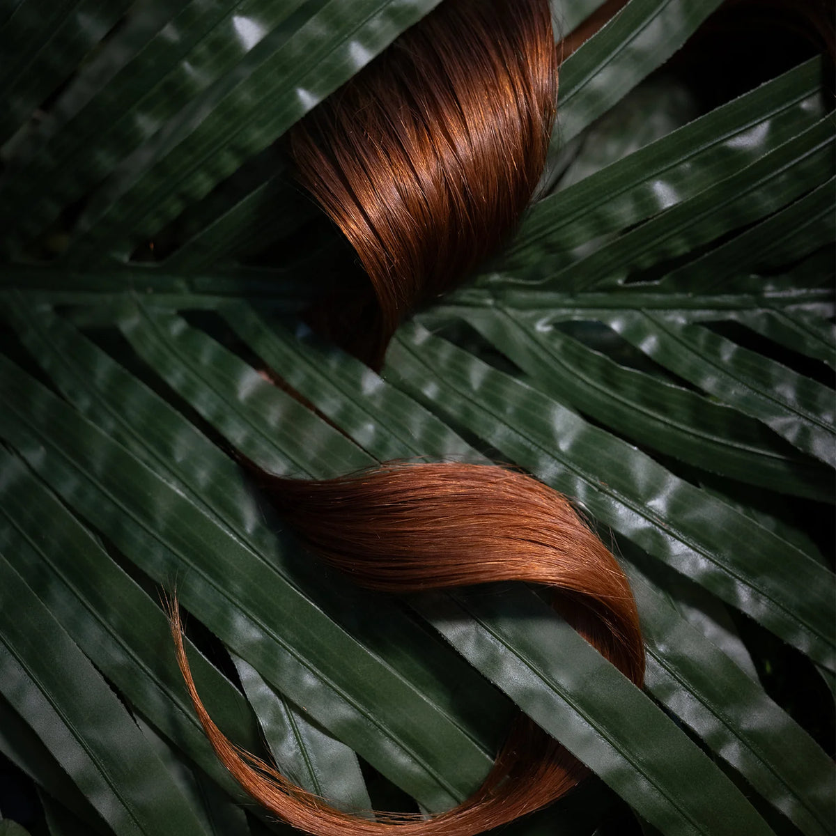 Kuracja 80 dni dla kobiet 18-45 lat, wzmacnia włosy, zapobiega wypadaniu i poprawia ich kondycję.