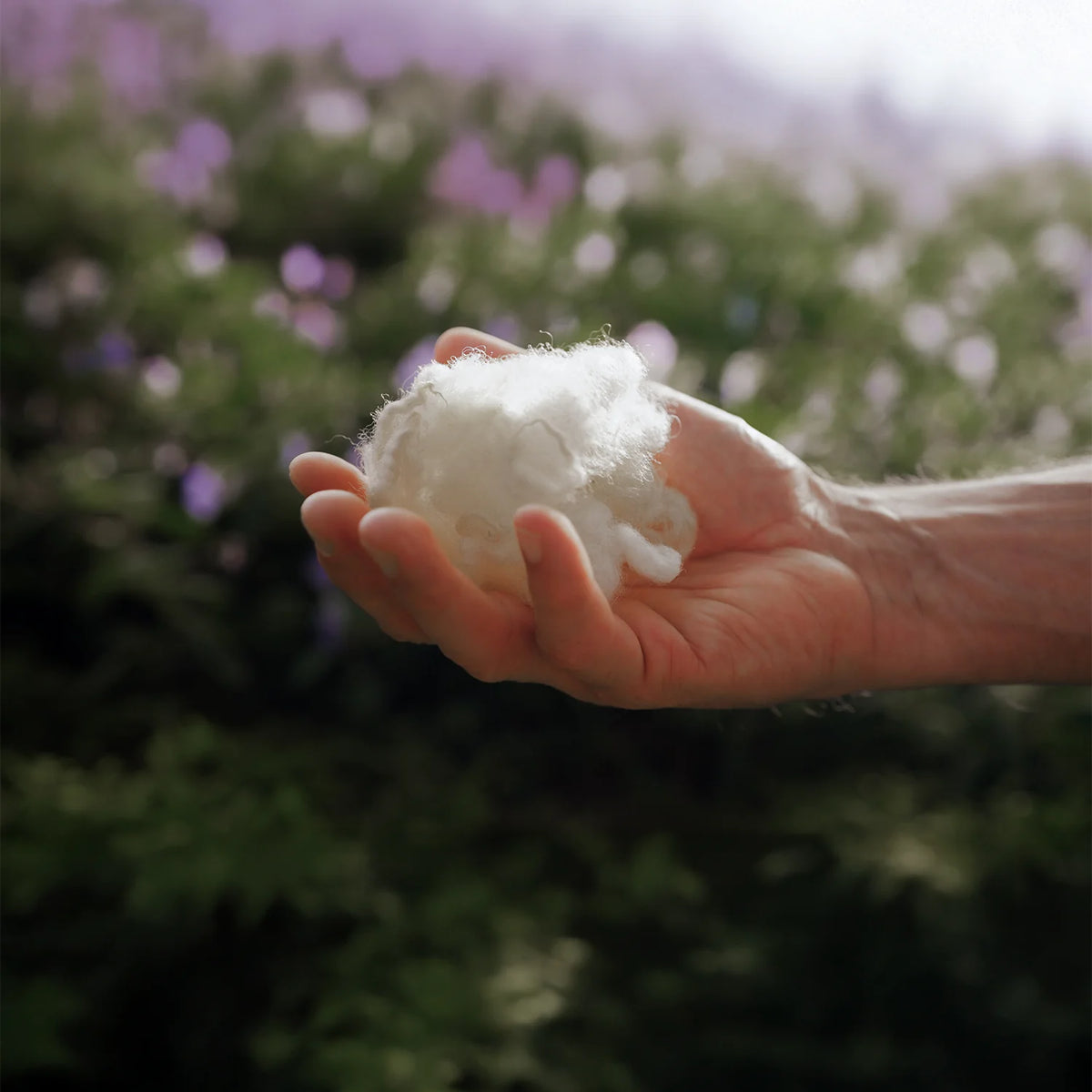 INTENSIVE HAIR CARE POWERSHOTS